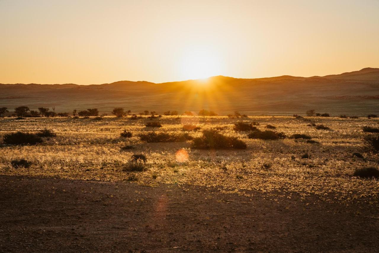The Desert Grace Solitaire Exteriér fotografie